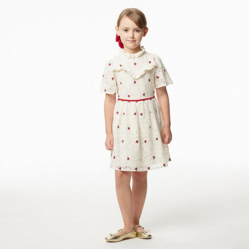 Embroidered Rose Lace Dress- Janie And Jack